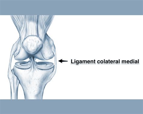 articulațiile genunchiului doare cum să trateze severitatea problemelor articulare
